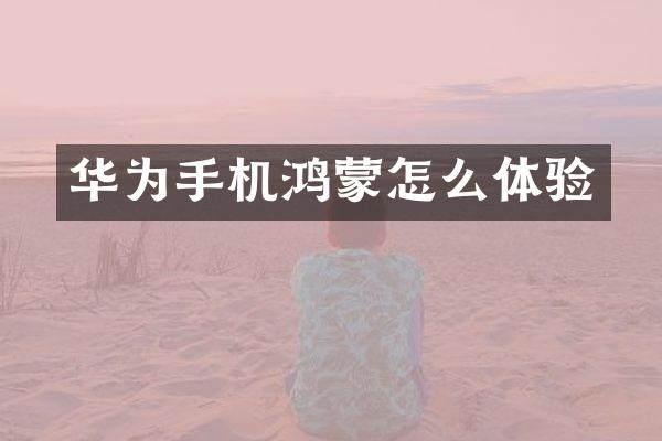 华为手机鸿蒙怎么体验