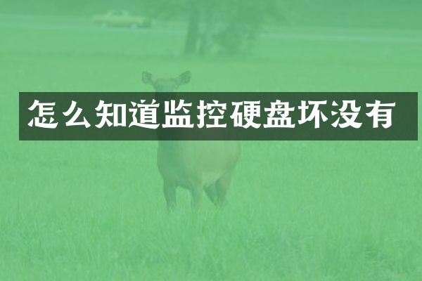 怎么知道监控硬盘坏没有