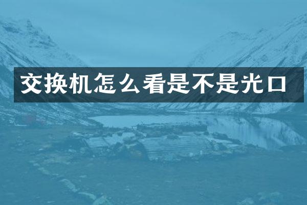 交换机怎么看是不是光口