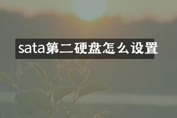sata第二硬盘怎么设置