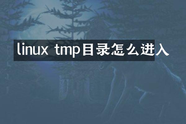 linux tmp目录怎么进入