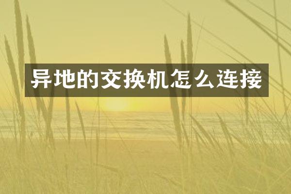 异地的交换机怎么连接