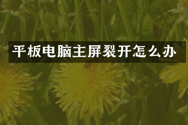 平板电脑主屏裂开怎么办