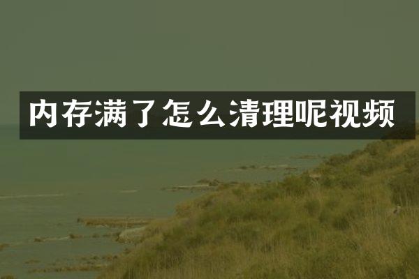 内存满了怎么清理呢视频
