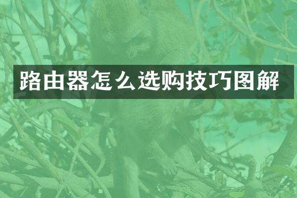 路由器怎么选购技巧图解