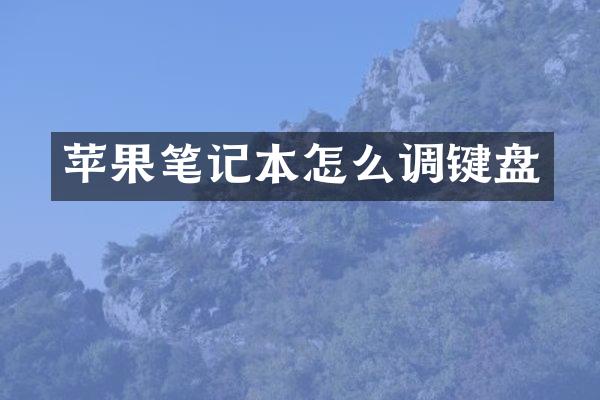 苹果笔记本怎么调键盘