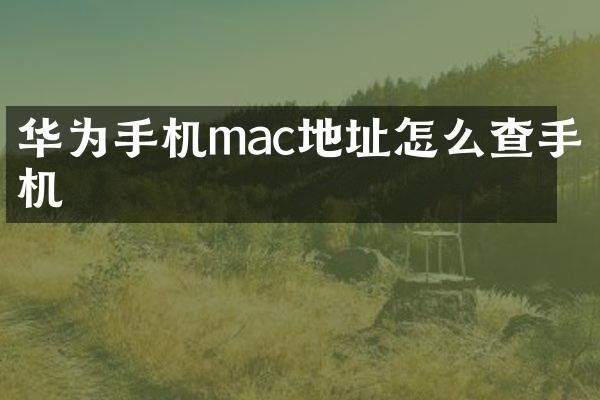 华为手机mac地址怎么查手机