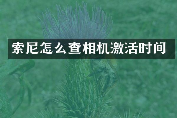 索尼怎么查相机激活时间