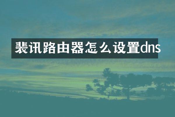 裴讯路由器怎么设置dns