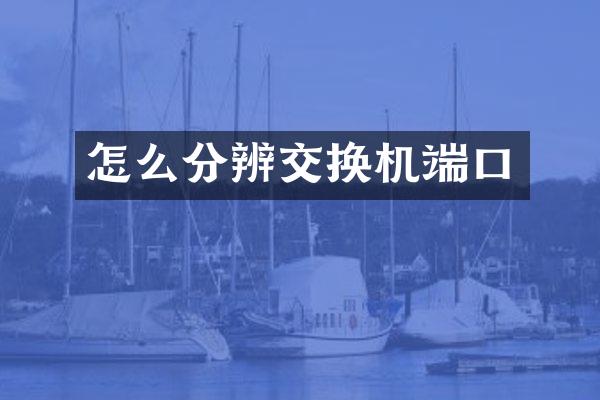 怎么分辨交换机端口