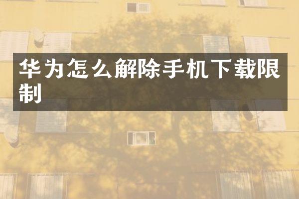 华为怎么解除手机下载限制