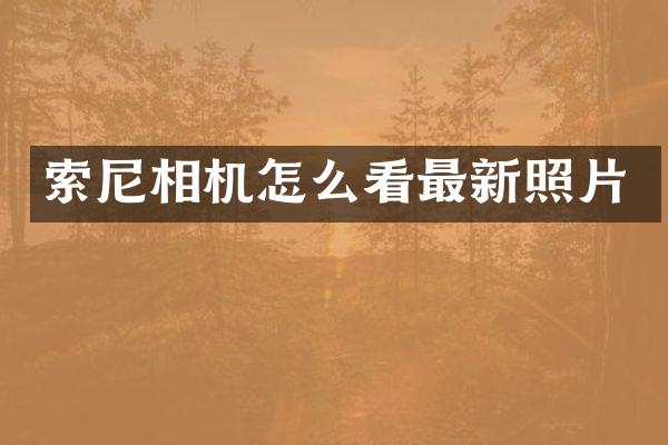 索尼相机怎么看最新照片