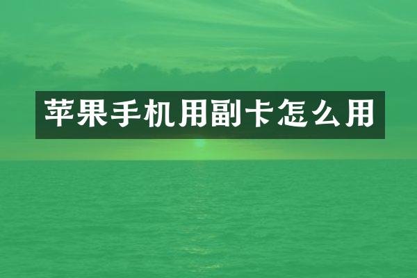 苹果手机用副卡怎么用