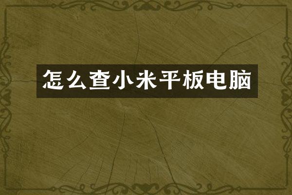 怎么查小米平板电脑
