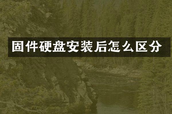 固件硬盘安装后怎么区分