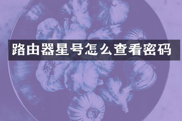 路由器星号怎么查看密码