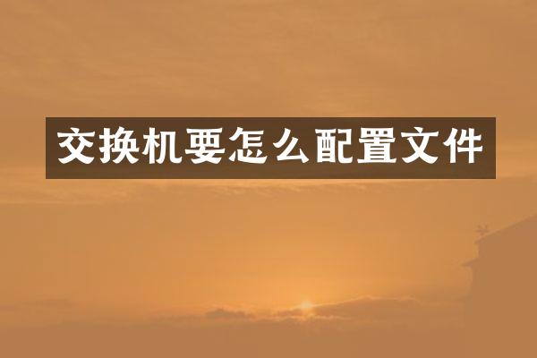交换机要怎么配置文件