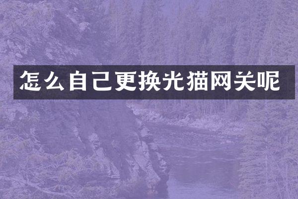 怎么自己更换光猫网关呢