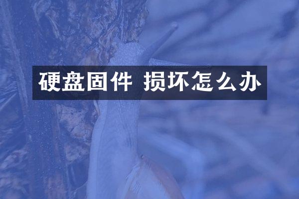 硬盘固件 损坏怎么办