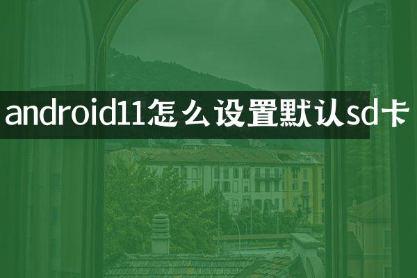 android11怎么设置默认sd卡