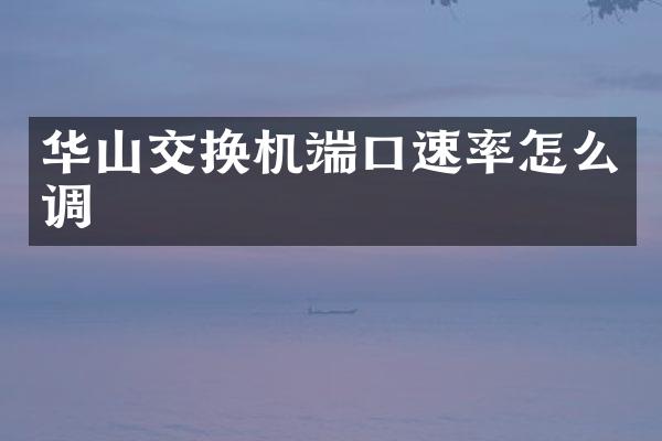 华山交换机端口速率怎么调
