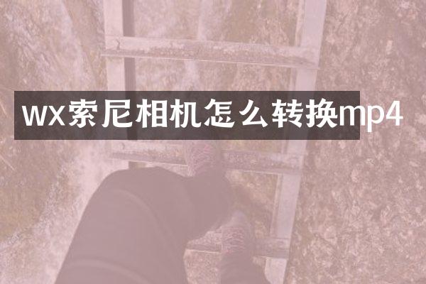 wx相机怎么转换mp4