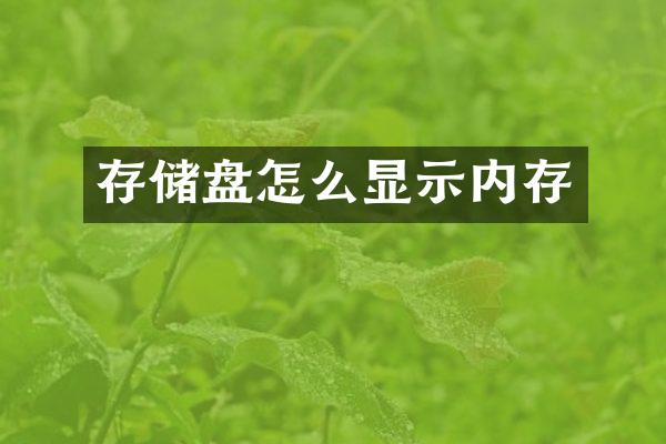 存储盘怎么显示内存