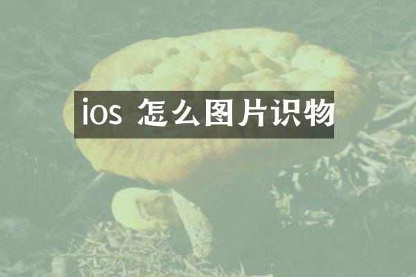 ios 怎么图片识物