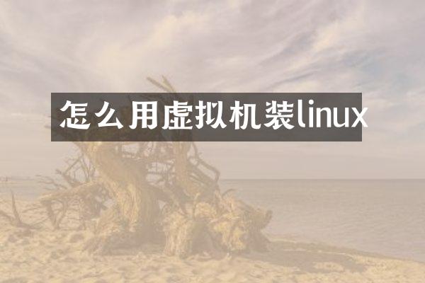 怎么用虚拟机装linux