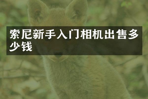 新手入门相机出售多少钱