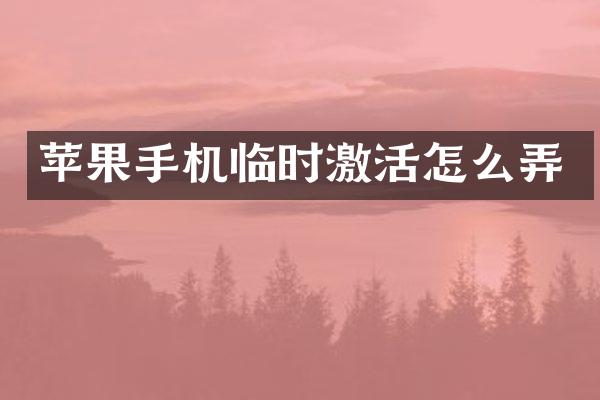 苹果手机临时激活怎么弄
