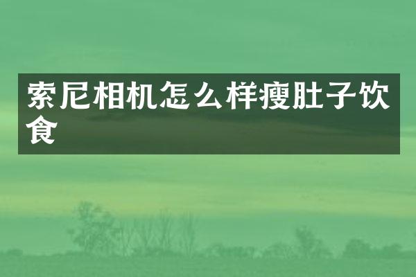 相机怎么样瘦肚子饮食