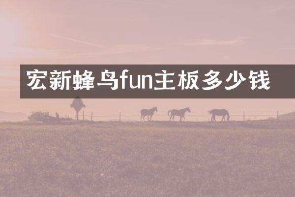 宏碁新蜂鸟fun主板多少钱