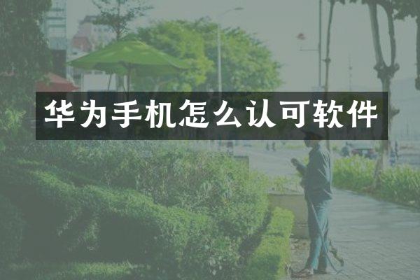 华为手机怎么认可软件
