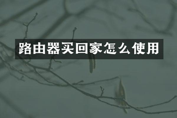 路由器买回家怎么使用