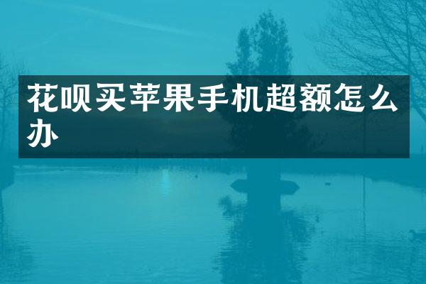 花呗买苹果手机超额怎么办