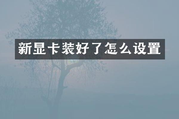 新显卡装好了怎么设置