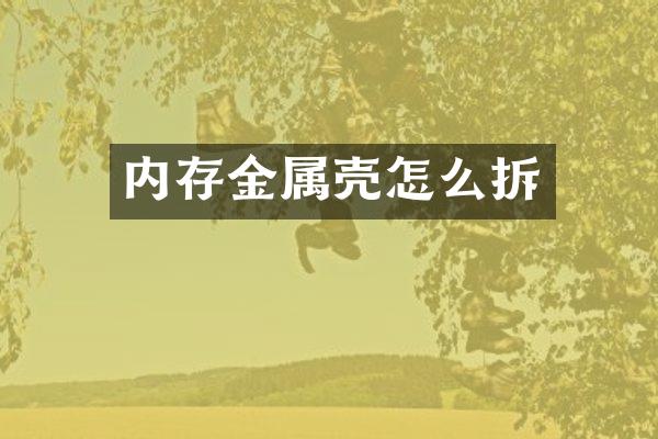 内存金属壳怎么拆