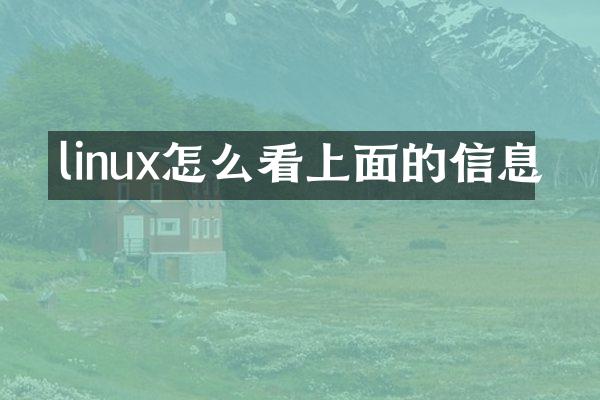 linux怎么看上面的信息
