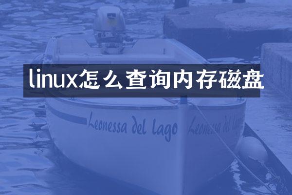 linux怎么查询内存磁盘