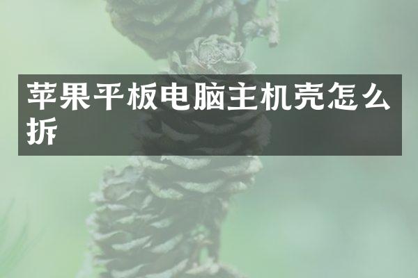 苹果平板电脑主机壳怎么拆