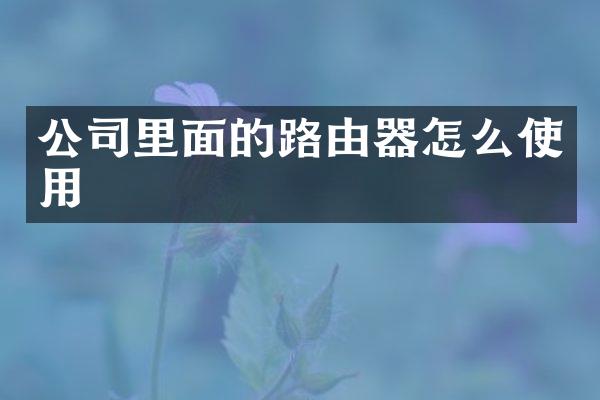 公司里面的路由器怎么使用
