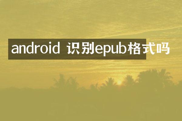 android 识别epub格式吗