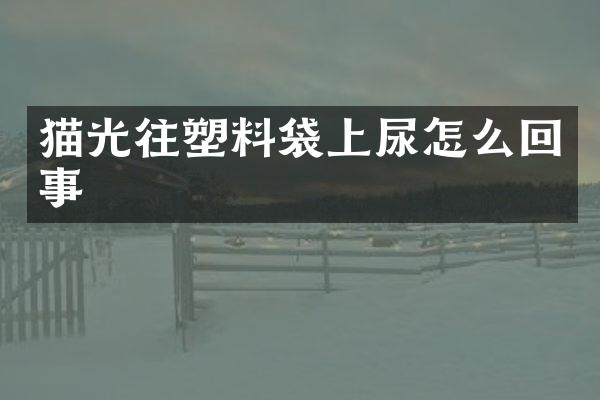 猫光往塑料袋上尿怎么回事