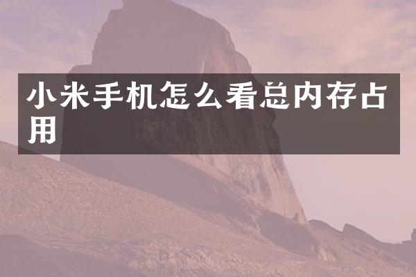小米手机怎么看总内存占用