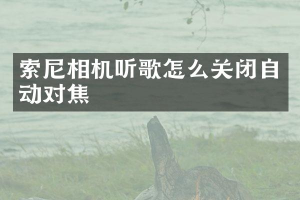 相机听歌怎么关闭自动对焦