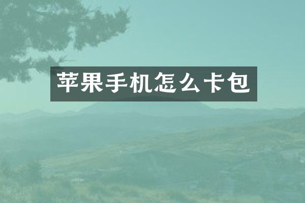 苹果手机怎么卡包