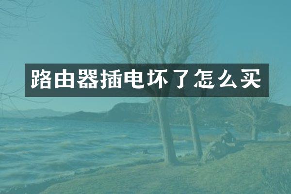 路由器插电坏了怎么买