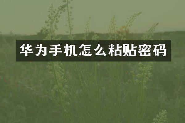华为手机怎么粘贴密码