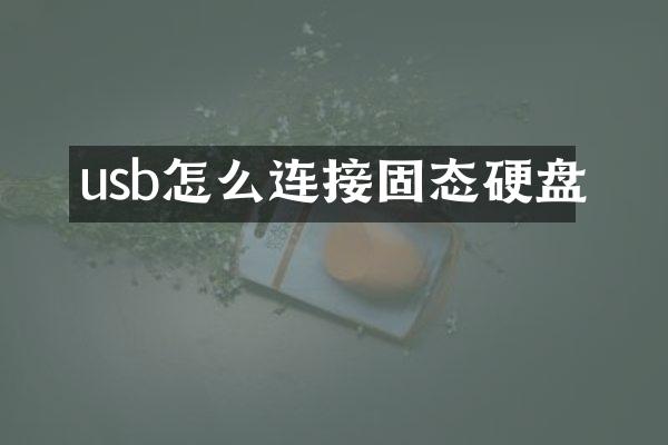 usb怎么连接固态硬盘